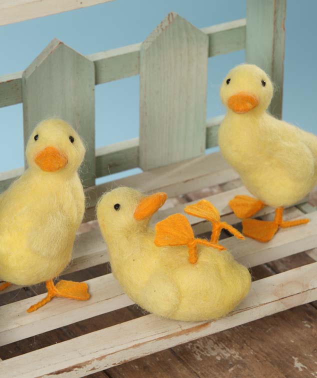Silly Ducklings!